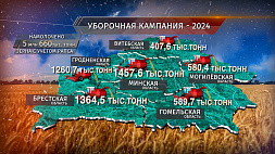 Уборочная-2024: белорусские аграрии намолотили уже более 5,6 млн тонн зерна