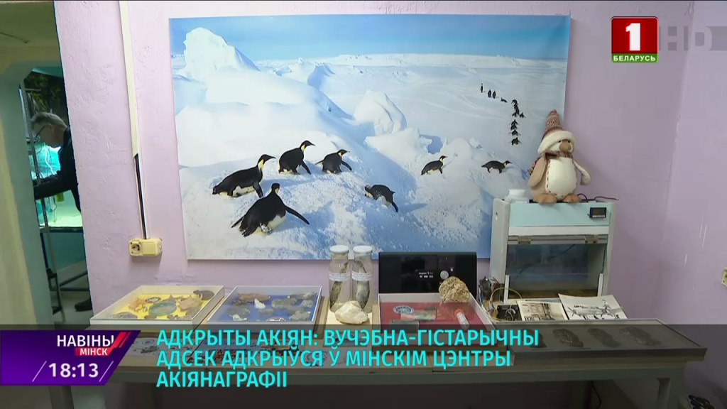 Полярники и биологи собрали более сотни редких экспонатов для Минского центра океанографии