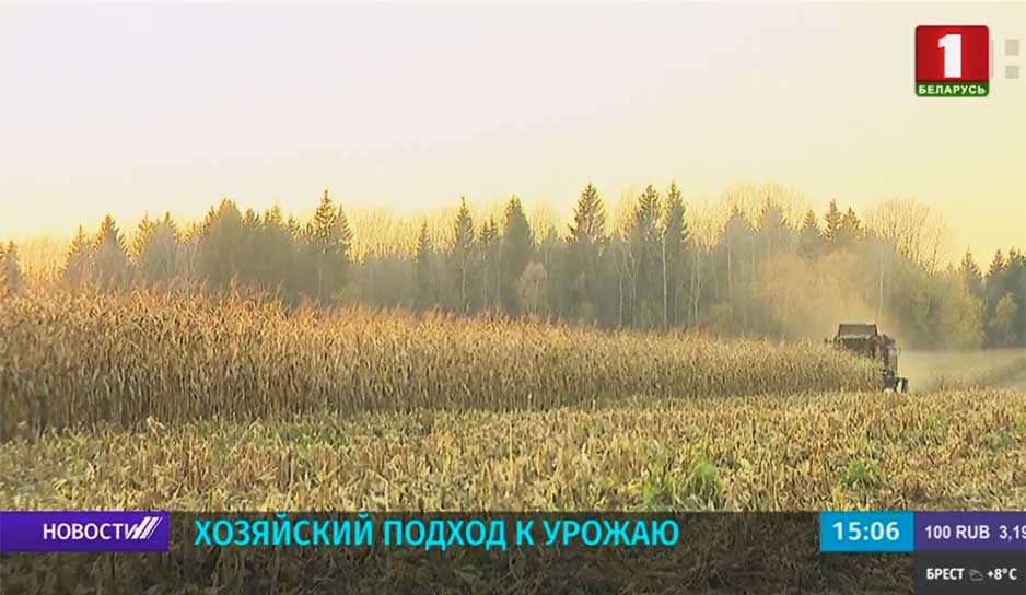Александр Лукашенко поставил задачу завершить уборку урожая до 7 ноября.jpg