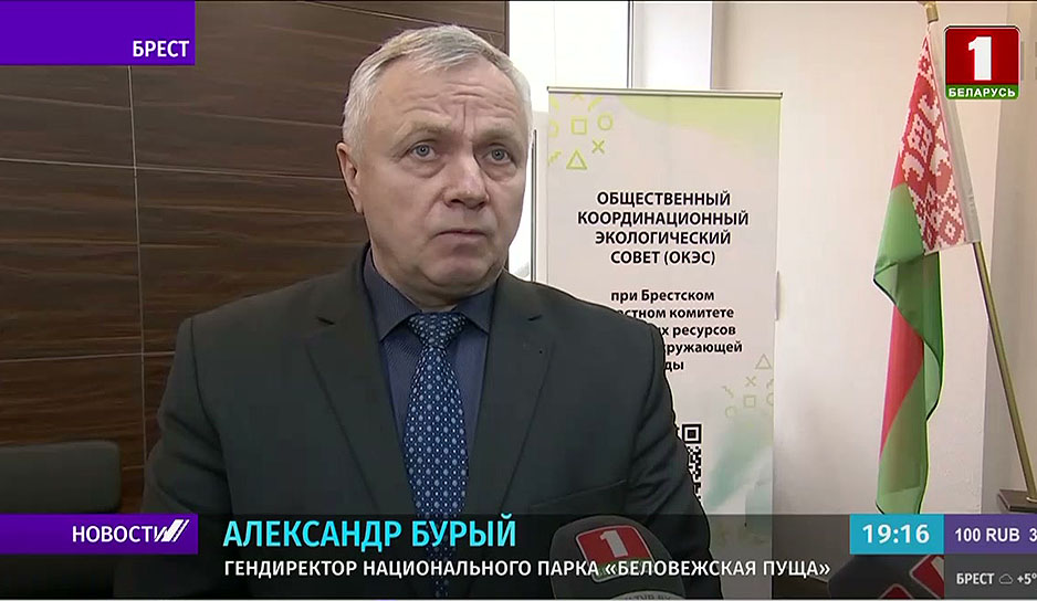 Белорусские ученые подписали петицию против строительства забора в Беловежской пуще