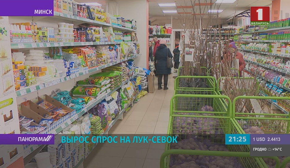 В Беларуси вырос спрос на лук-севок.jpg