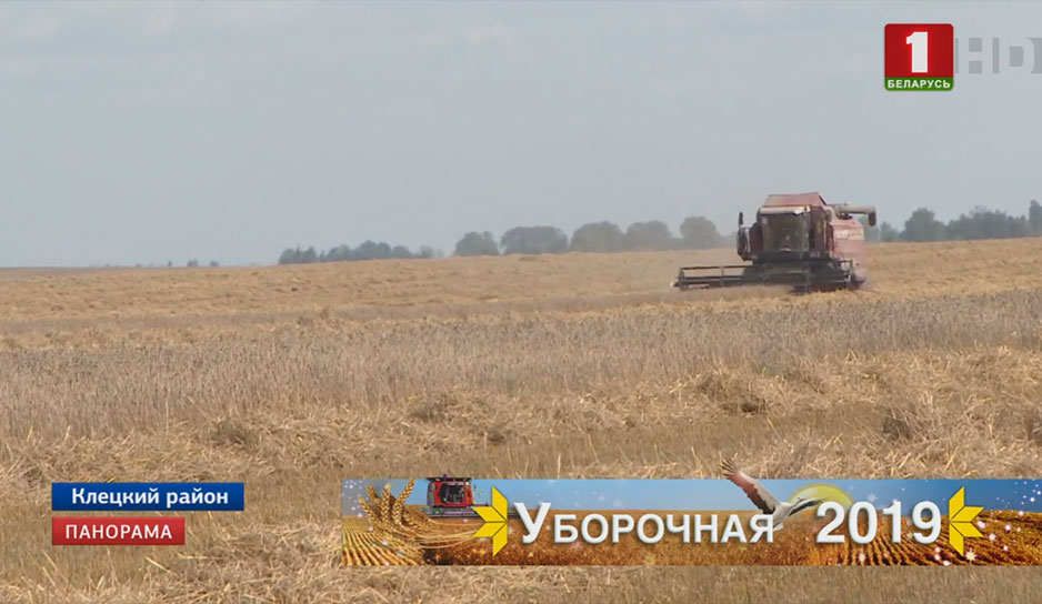 Хлеборобы Витебской области собрали без малого 620 тысяч тонн зерна