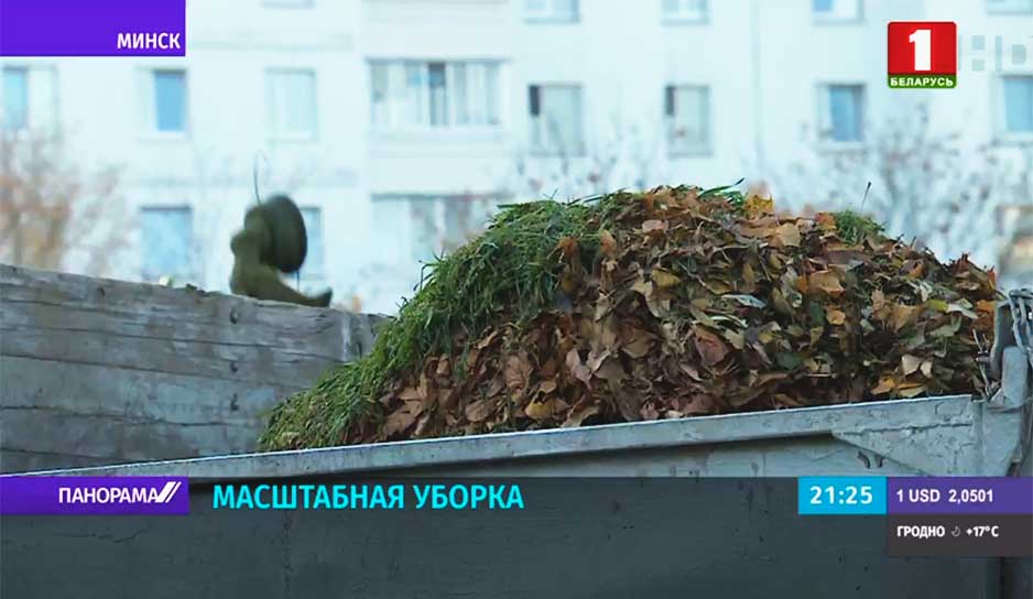 В Минске активными темпами идет уборка опавшей листвы.jpg