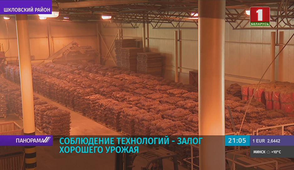 Аграрии Беларуси вышли на финишную прямую основной посадки картофеля.jpg
