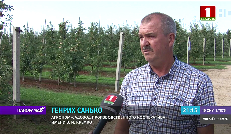 Садоводство в Беларуси