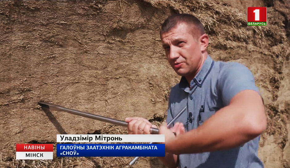 Минская область завершила второй укос трав