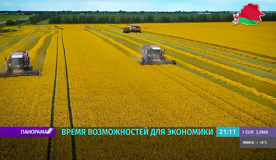 белорусское поле