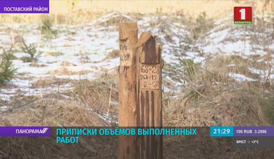 Комитет госконтроля выявил ряд нарушений в Поставском лесхозе.jpg