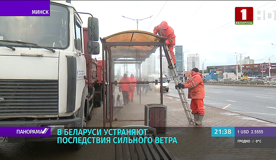 В Беларуси устраняют последствия ураганного ветра - пострадали более 450 населенных пунктов