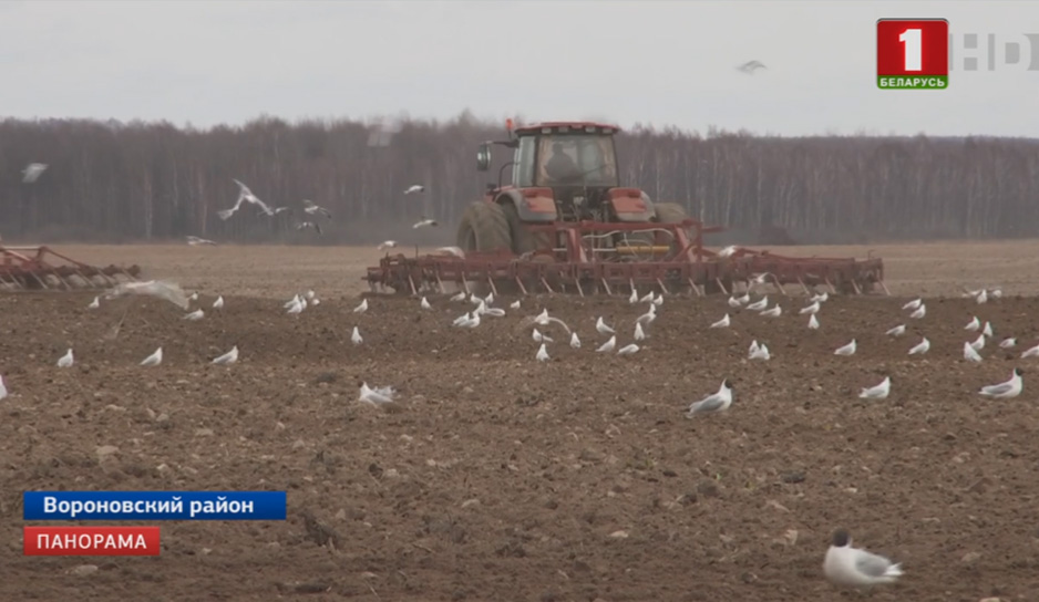 В Беларуси осуществляется мониторинг весенне-полевых работ.jpg