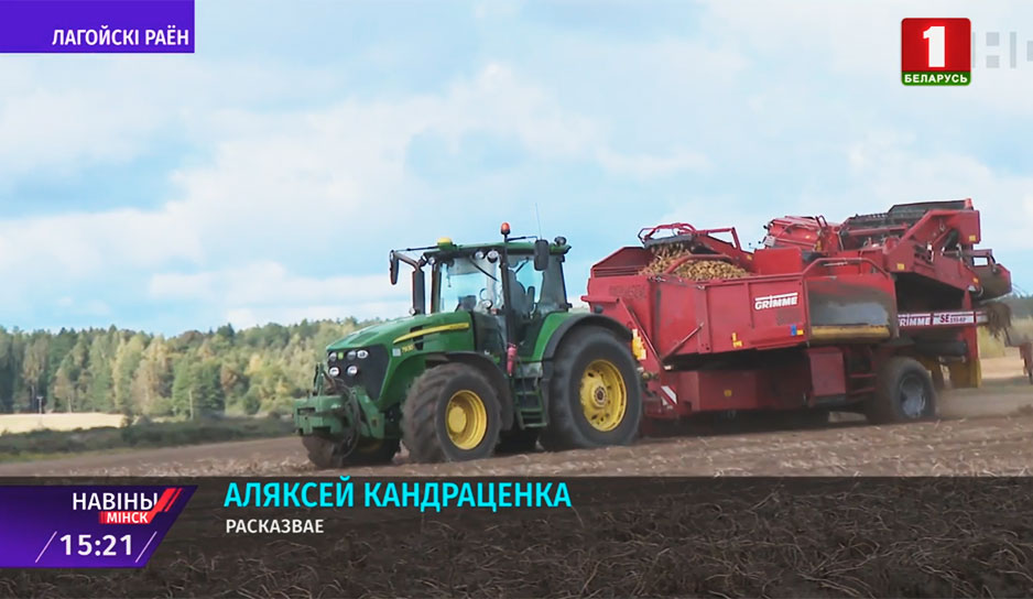 В Минской области выращивают специальные сорта картофеля.jpg