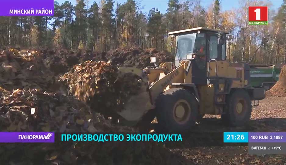 В Минске активными темпами идет уборка опавшей листвы.jpg