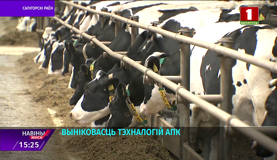 В Солигорском районе скоро откроют большую молочно-товарную ферму 