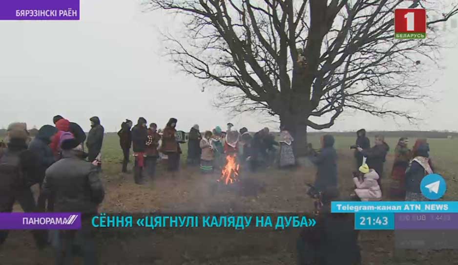 Традиционный обряд "Тянуть Коляду на дуба" прошел сегодня в деревне Новины