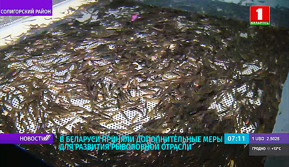В Беларуси приняли дополнительные меры для развития рыболовной отрасли