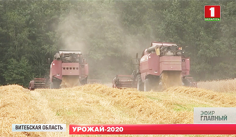Уборка зерновых в Беларуси завершается