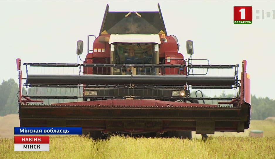 Минская область в этом году получит урожай зерновых не менее одного миллиона семисот тысяч тонн.jpg