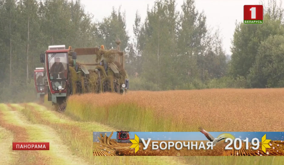 Аграрии Витебской области мобилизуют силы, чтобы собрать урожай с минимальными потерями 