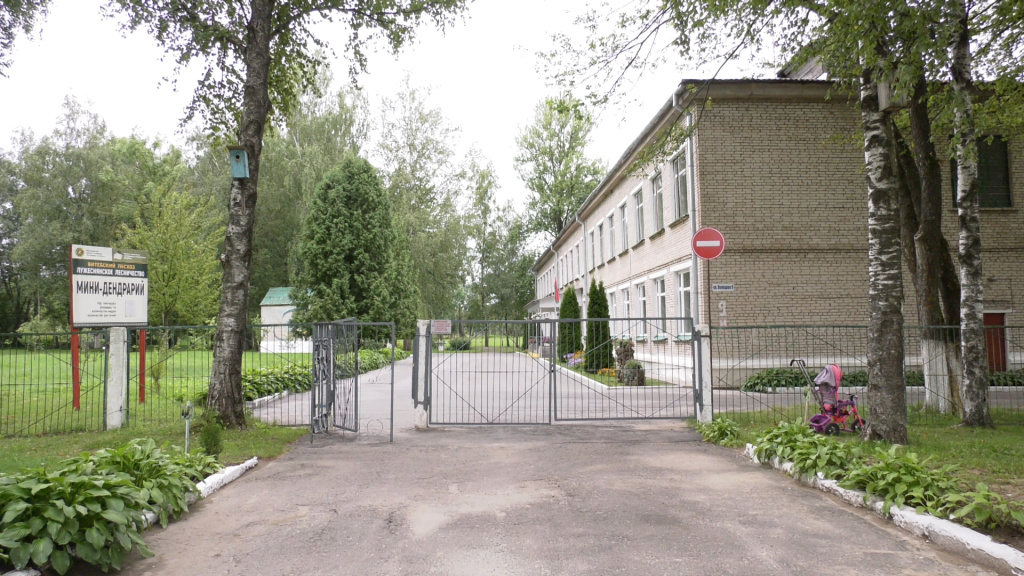Прокуратура подключилась к проверке белорусских школ - какие проблемы еще не решены