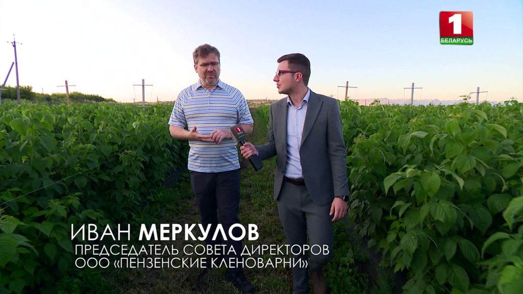 Кленовый сироп из Пензенской области до конца года появится в продаже на полках белорусских магазинов 