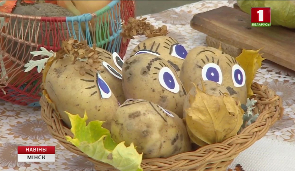 Фестиваль картофеля организовали в Копыле