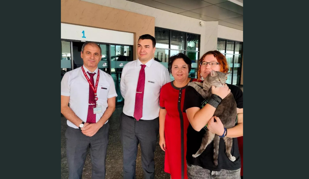 Бортпроводники спасли кота Лешку, которого хотели усыпить в аэропорту Таиланда
