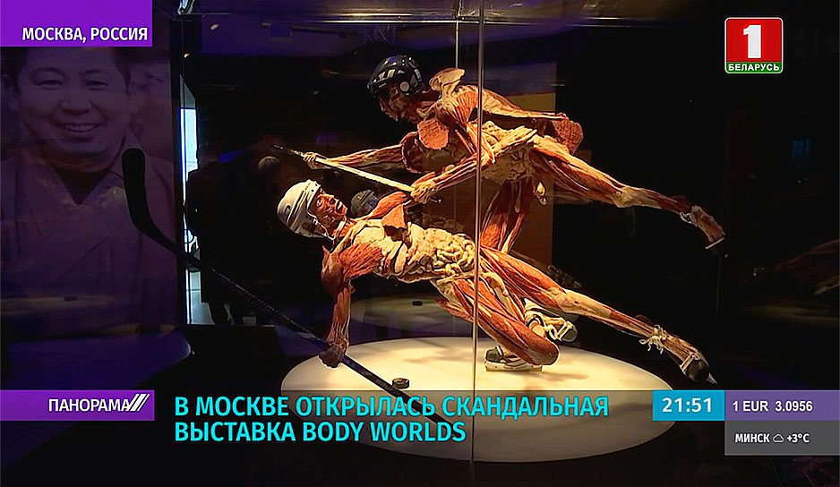 Более 100 человеческих тел и органов представлены на выставке Body Worlds в Москве