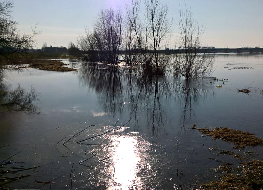 Это еще не паводки, но вода в реках Минской области прибывает