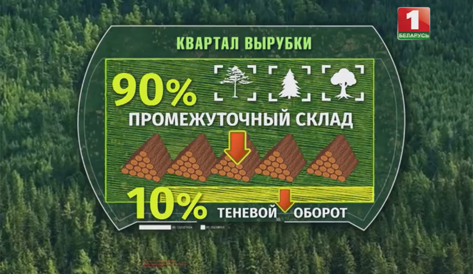 Схема хищения леса прямо на делянке