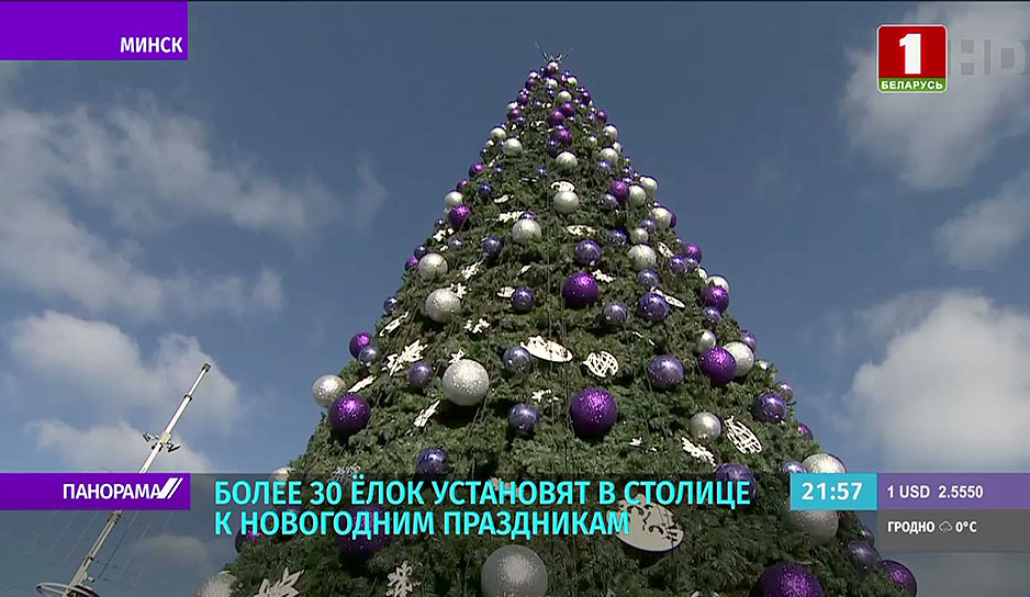 Более 30 елок установят в столице к новогодним праздникам
