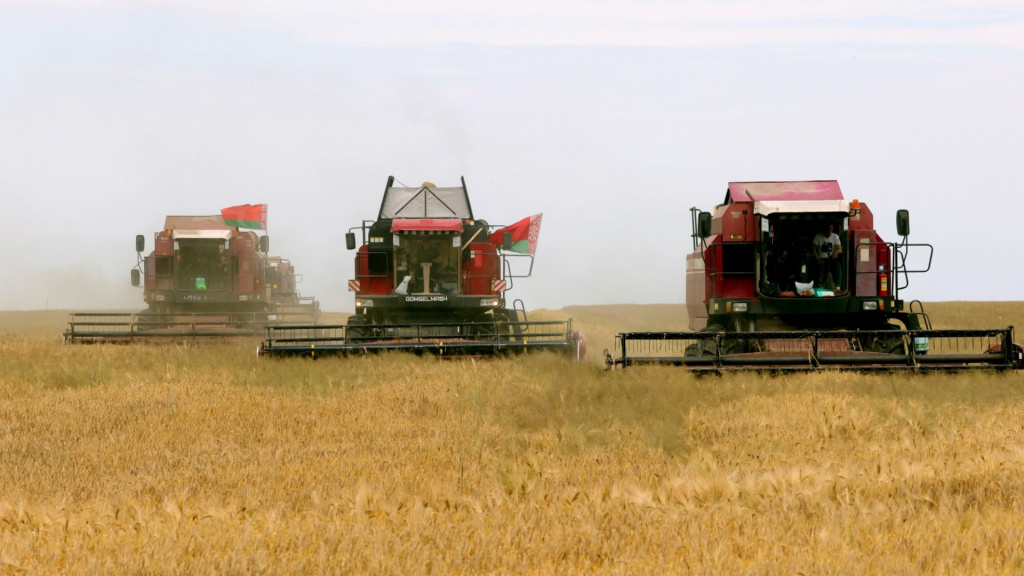 Задача от Президента Беларуси - оперативно и без потерь убрать весь урожай. Как идет работа на местах?