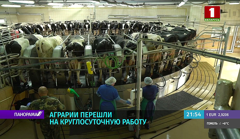 Аграрии Беларуси перешли на круглосуточную работу