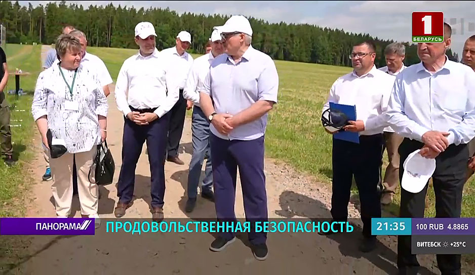 Какие урожайные перспективы обещают в этом сезоне белорусские аграрии
