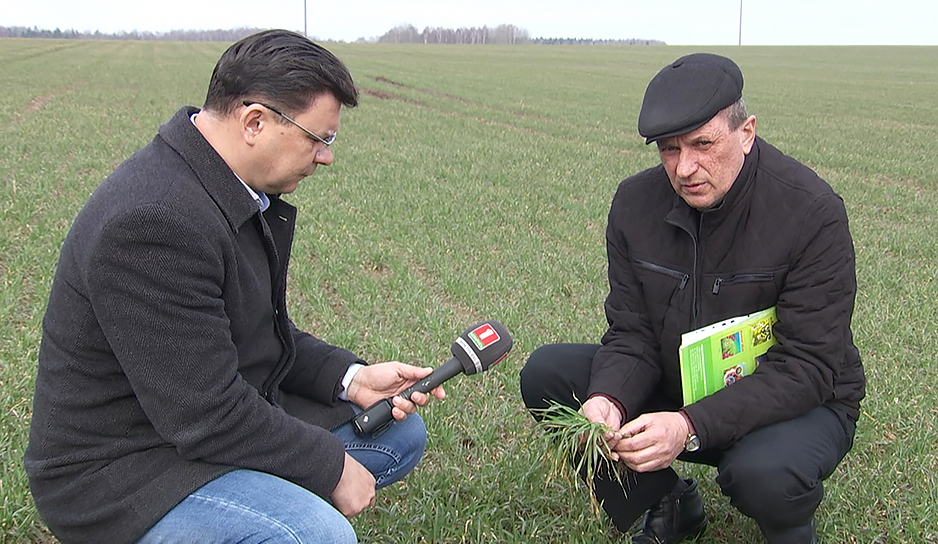 Аграрии Беларуси приступили к севу ранних яровых культур - как закладывается будущий урожай 