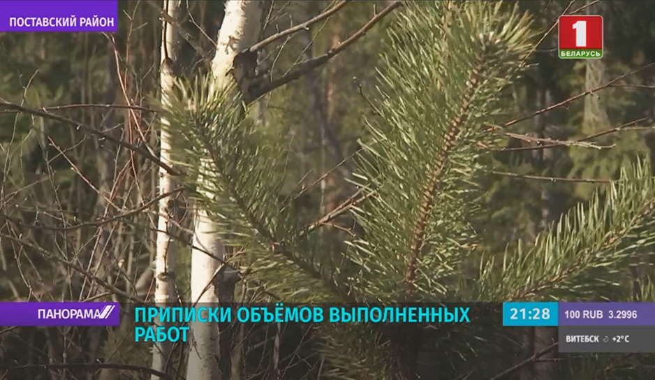 Комитет госконтроля выявил ряд нарушений в Поставском лесхозе.jpg