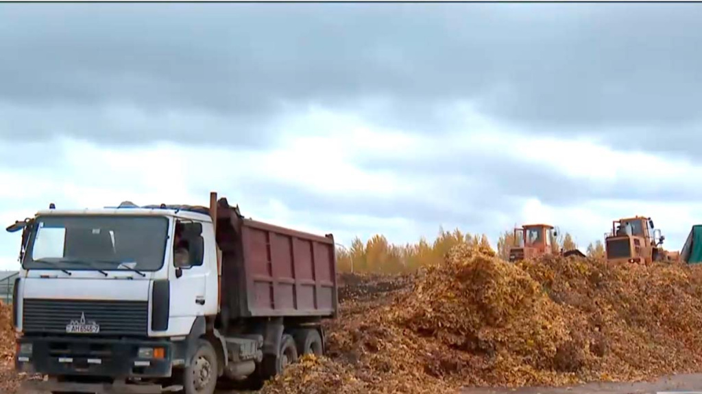 Сортировка отходов в Беларуси