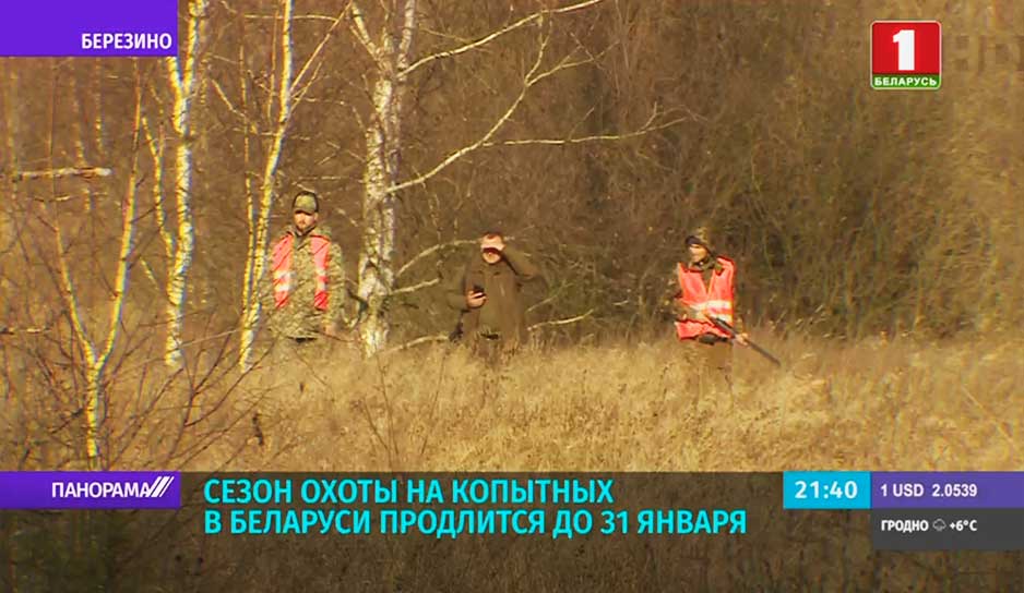 В Беларуси продолжается сезон охоты на копытных.jpg