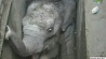 В Шри-Ланке  спасли попавшего в беду маленького слоненка