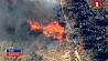 На лесном пожаре в Калифорнии 228 человек пропали без вести, 31 погиб