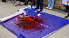 На митинге против НАТО в Кишиневе порвали и облили красной краской флаг альянса 