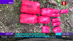 У наркокурьеров в Минске изъято более 4 кг психотропов