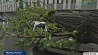 В Москве ликвидируют последствия самого разрушительного за последние 100 лет урагана