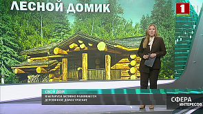В Беларуси активно развивается деревянное домостроение