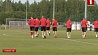 Сборная Беларуси по футболу сегодня сыграет со сборной Венгрии 