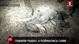 12 рыбок общей стоимостью почти 5 тысяч рублей - на затоке реки Днепр задержали рыбаков  
