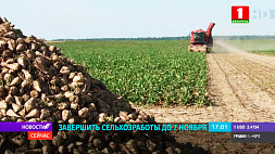 А. Субботин: Основную часть сельхозработ необходимо завершить к 7 ноября