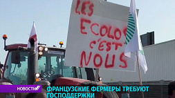 Французские фермеры требуют господдержки 