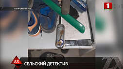 В Солигорском районе школьник пробрался в дом к односельчанам и украл около Br600