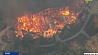 В Калифорнии не утихают природные пожары