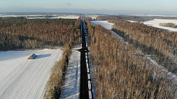 Очередь 16 км, потери денег и подорожание товаров: ситуация с фурами на границе Беларуси с Евросоюзом